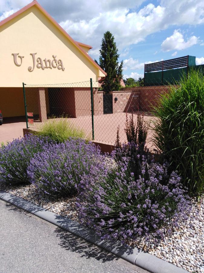 Ubytování U Janča Lednice Exterior foto