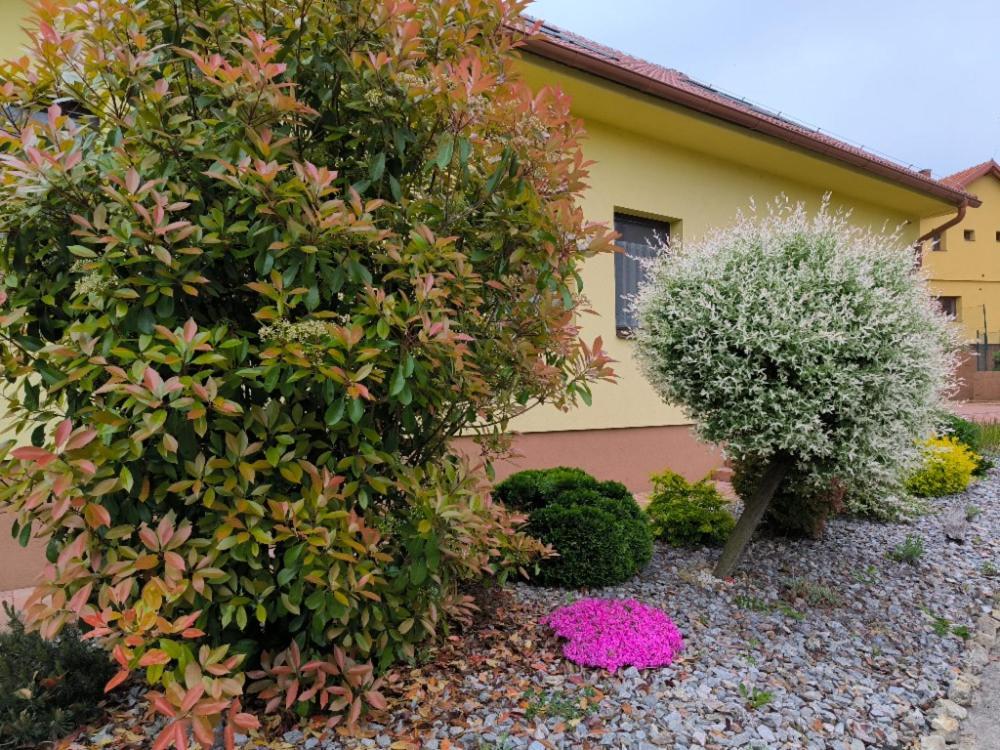 Ubytování U Janča Lednice Exterior foto